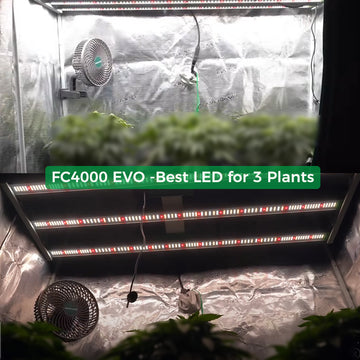 Mars Hydro FC 4000-EVO Samsung LM301H EVO 320W Medical Herb LED Grow Lights